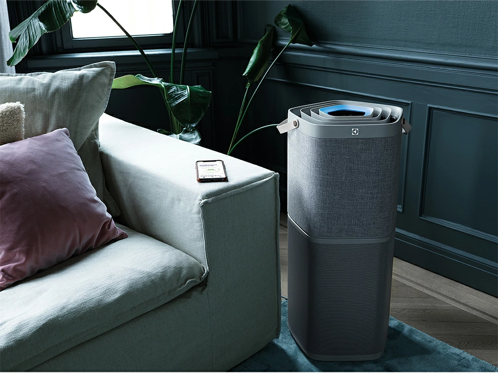 Air Purifier Electrolux PA91-606DG